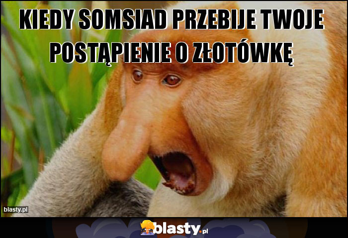 kiedy somsiad przebije twoje postąpienie o złotówkę kiedy somsiad przebije twoje postąpienie o złotówkę
