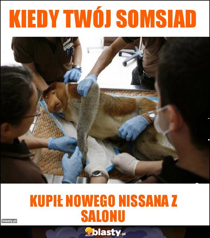 Kiedy Twój somsiad Kiedy Twój somsiad