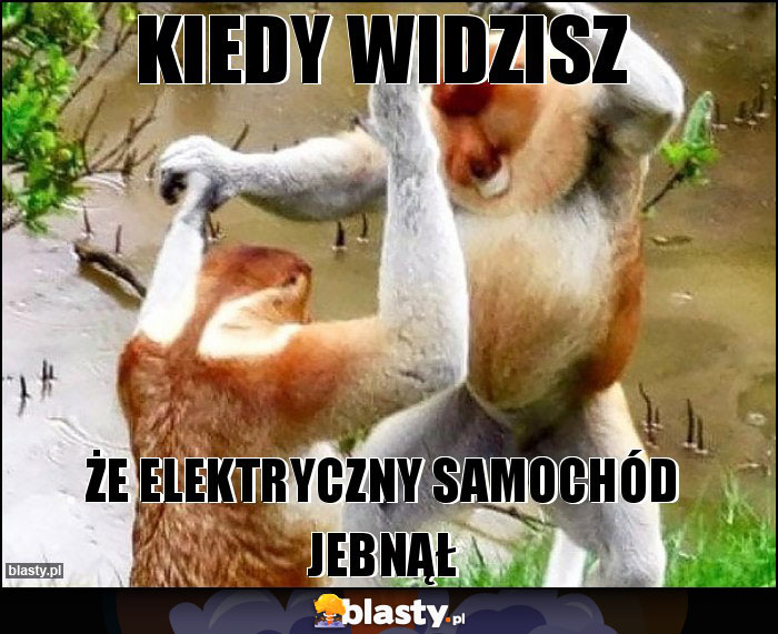 KIEDY WIDZISZ KIEDY WIDZISZ
