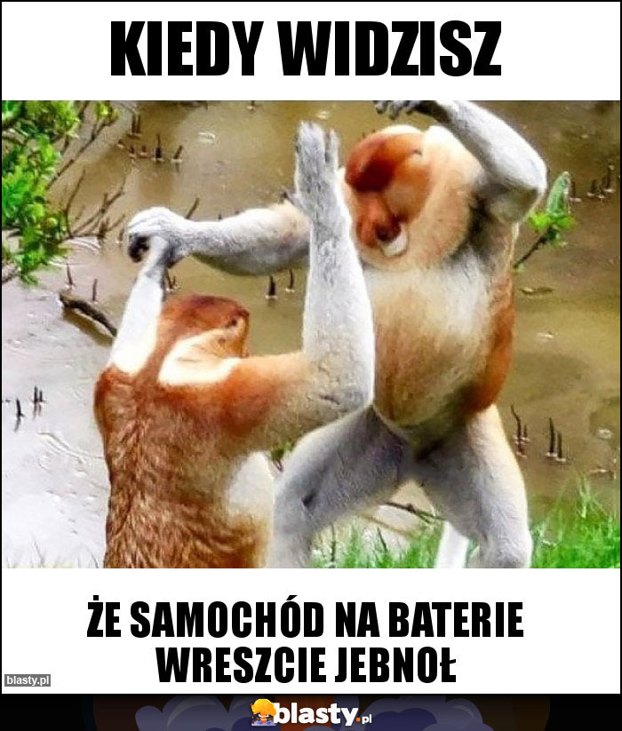 Kiedy widzisz Kiedy widzisz