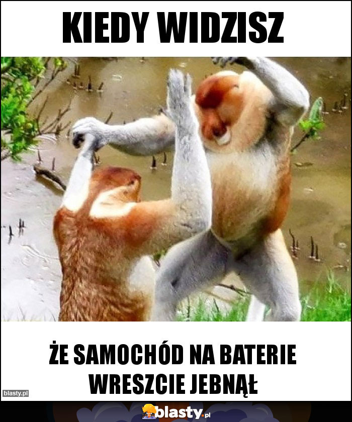 Kiedy widzisz Kiedy widzisz