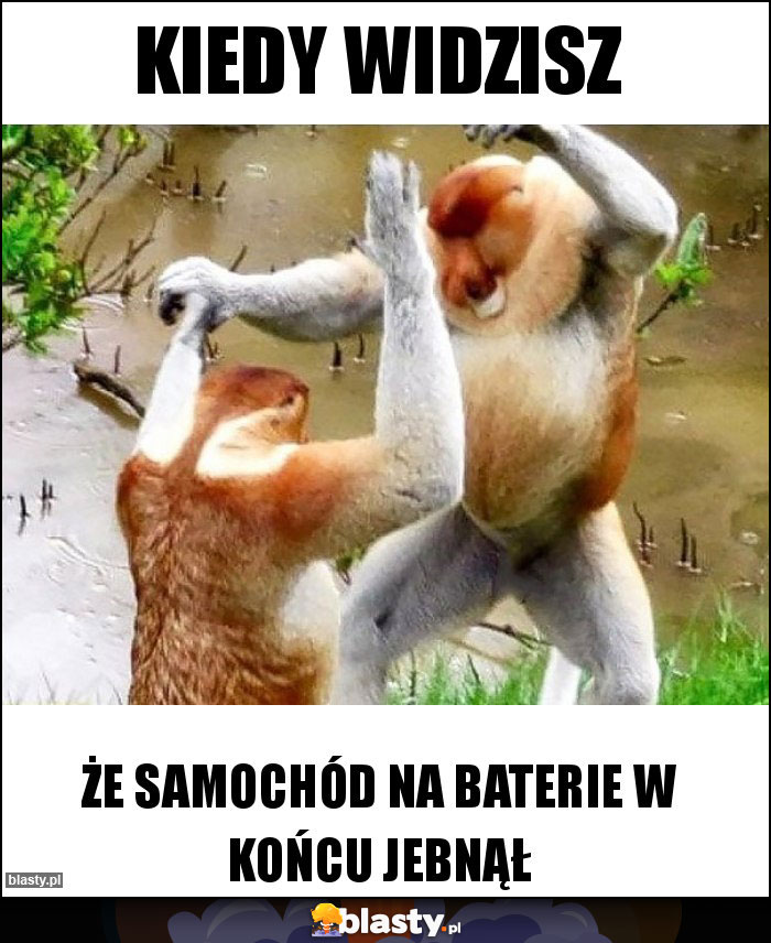 Kiedy widzisz Kiedy widzisz