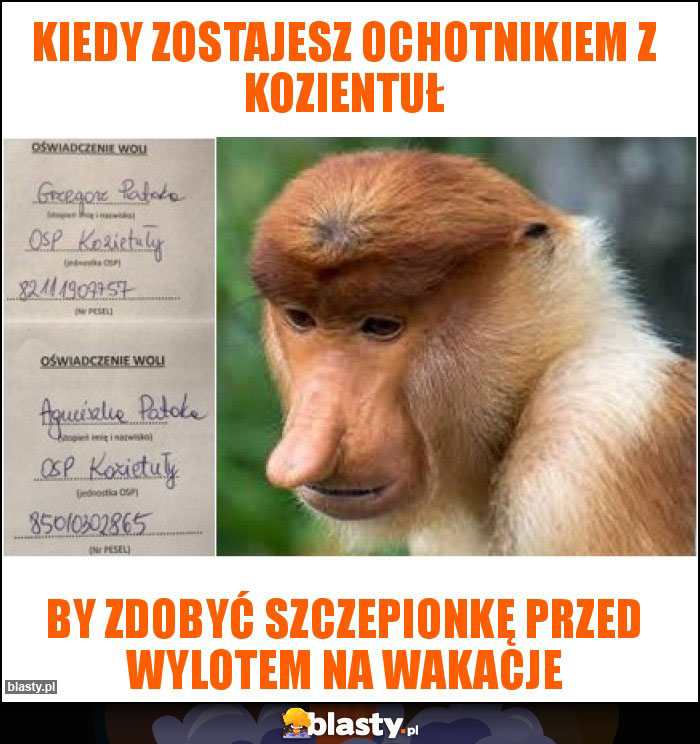 Kiedy zostajesz ochotnikiem z kozientuł Kiedy zostajesz ochotnikiem z kozientuł