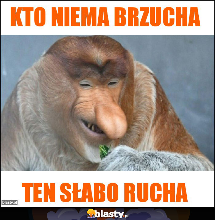 kto niema brzucha kto niema brzucha