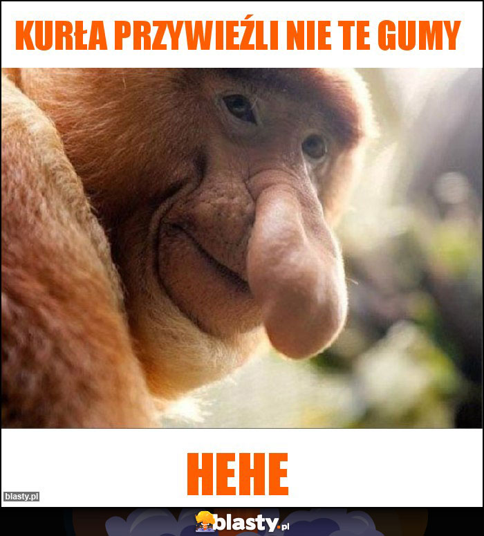 Kurła przywieźli nie te gumy Kurła przywieźli nie te gumy