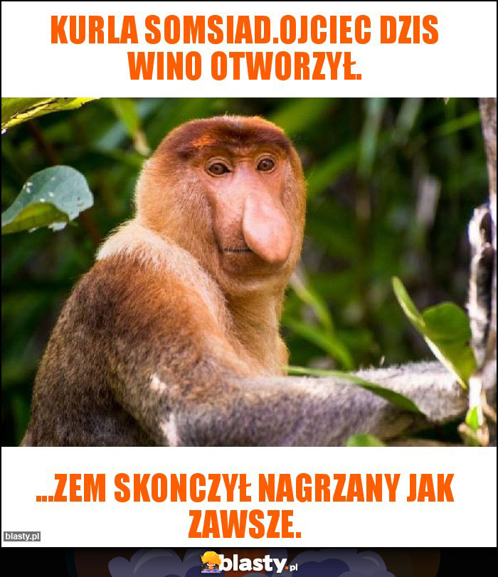 Kurla Somsiad.Ojciec dzis wino otworzył. Kurla Somsiad.Ojciec dzis wino otworzył.