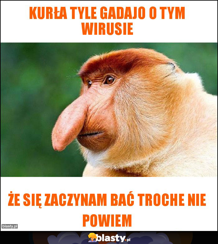 Kurła tyle gadajo o tym wirusie Kurła tyle gadajo o tym wirusie