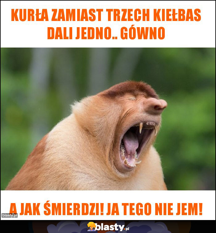 kurła zamiast trzech kiełbas dali jedno.. gówno kurła zamiast trzech kiełbas dali jedno.. gówno