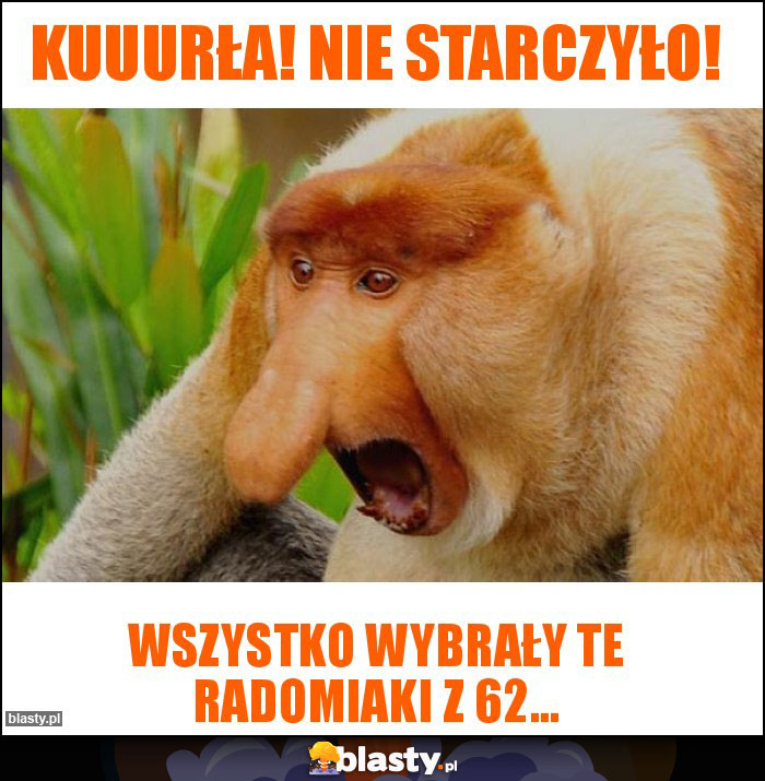 Kuuurła! Nie starczyło! Kuuurła! Nie starczyło!