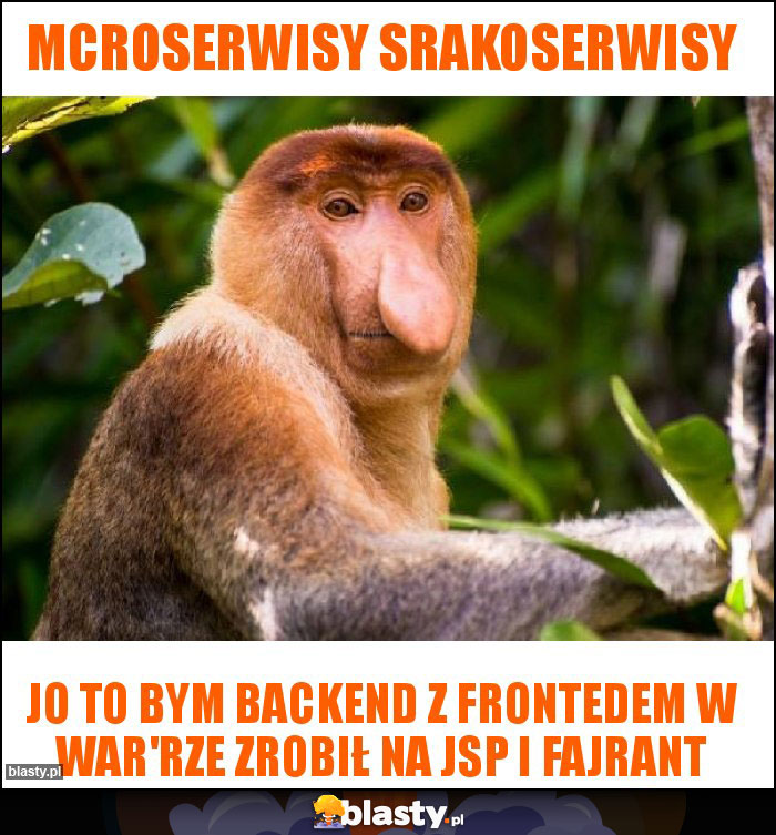 Mcroserwisy srakoserwisy Mcroserwisy srakoserwisy