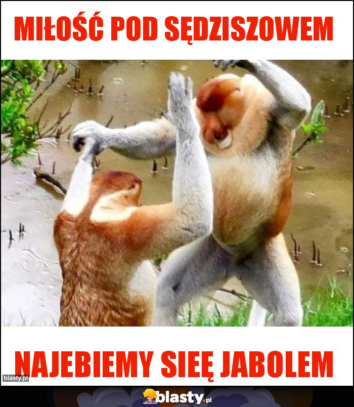 MIŁOŚĆ POD SĘDZISZOWEM MIŁOŚĆ POD SĘDZISZOWEM