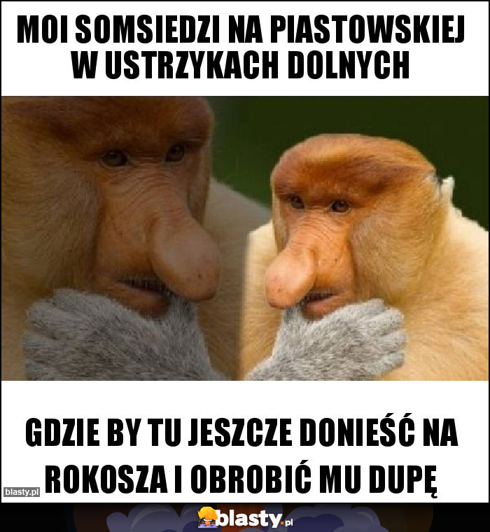 Moi SOMSIEDZI na Piastowskiej w Ustrzykach Dolnych Moi SOMSIEDZI na Piastowskiej w Ustrzykach Dolnych