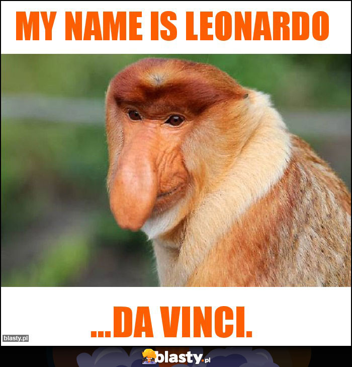 My name is Leonardo My name is Leonardo