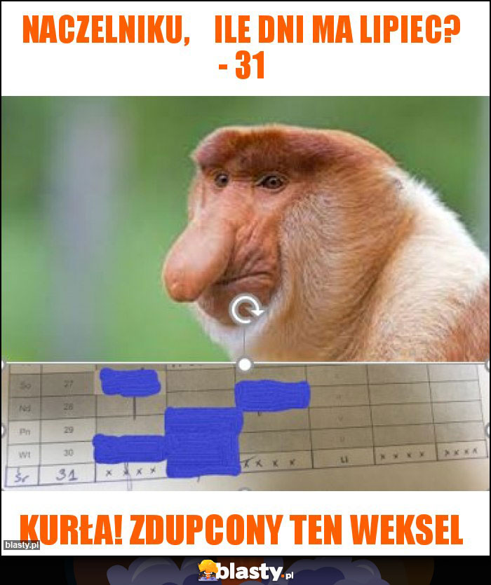 Naczelniku, ile dni ma lipiec? - 31 Naczelniku, ile dni ma lipiec? - 31