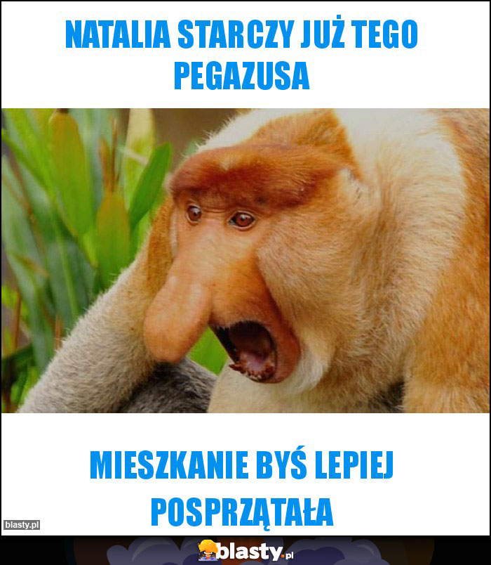 NATALIA STARCZY JUŻ TEGO PEGAZUSA NATALIA STARCZY JUŻ TEGO PEGAZUSA