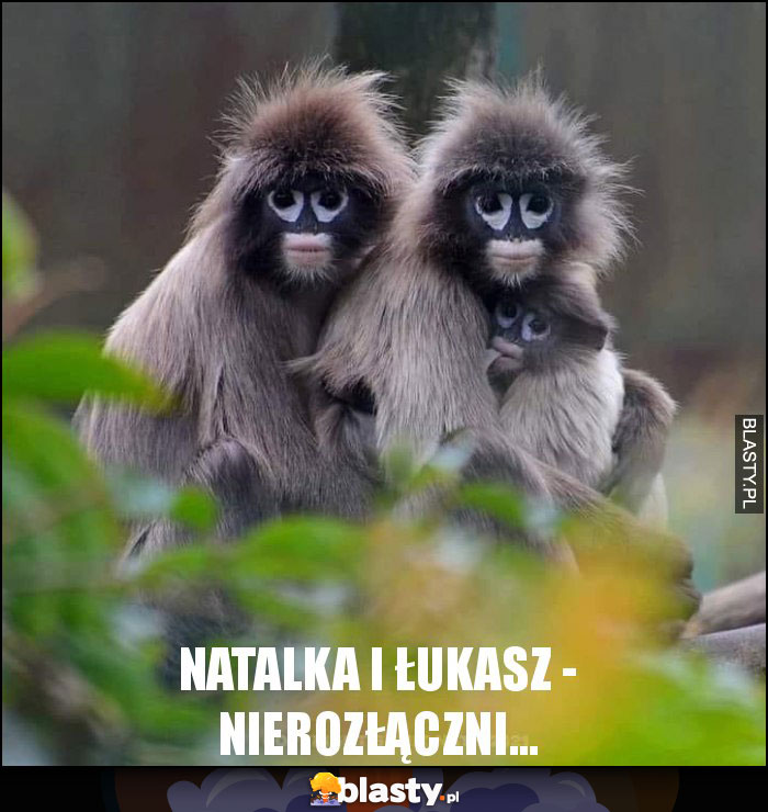 Natalka i Łukasz - nierozłączni... Natalka i Łukasz - nierozłączni...