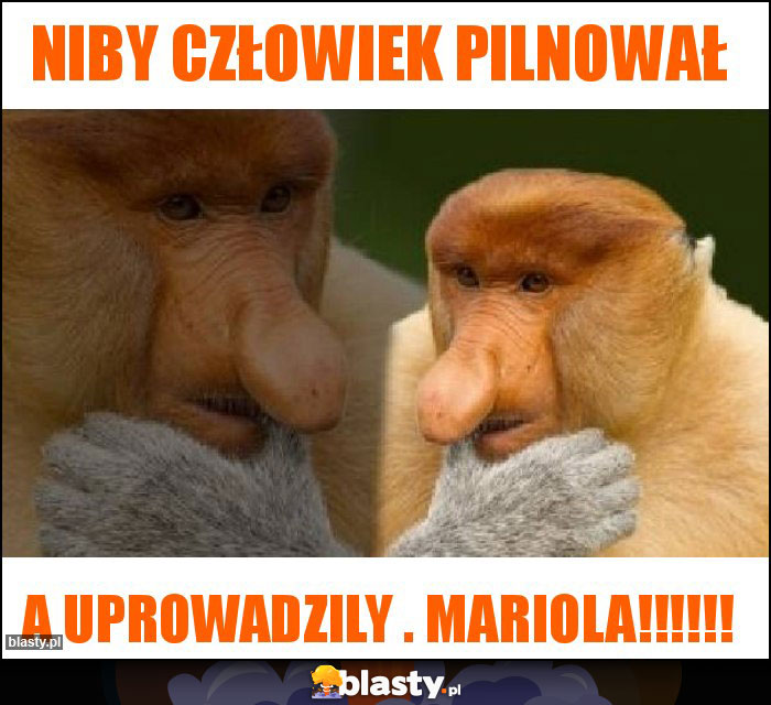 Niby człowiek pilnował