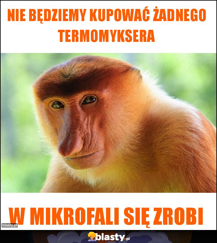 Nie będziemy kupować żadnego Termomyksera
