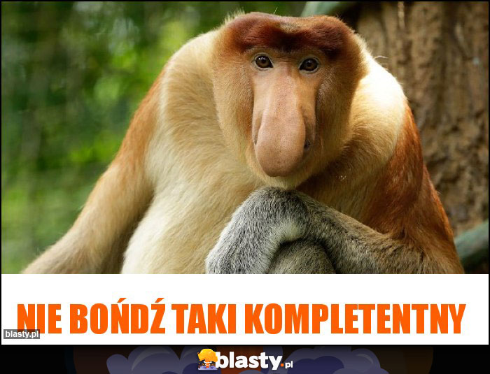 nie bońdź taki kompletentny nie bońdź taki kompletentny