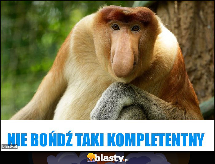 nie bońdź taki kompletentny nie bońdź taki kompletentny