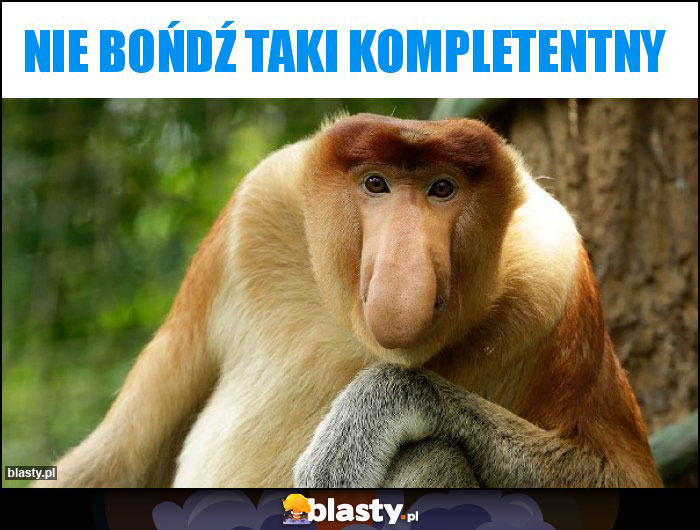 nie bońdź taki kompletentny nie bońdź taki kompletentny