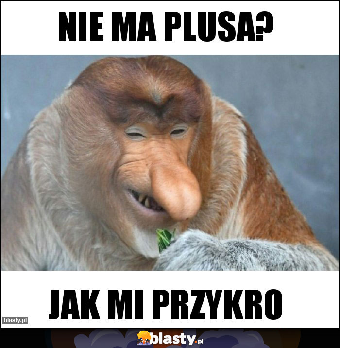 Nie ma plusa? Nie ma plusa?