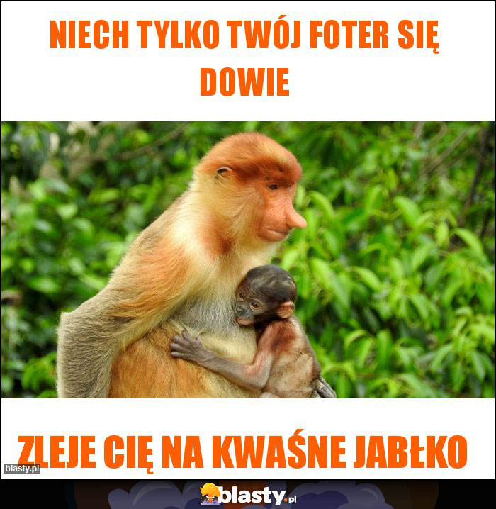 Niech tylko twój foter się dowie Niech tylko twój foter się dowie