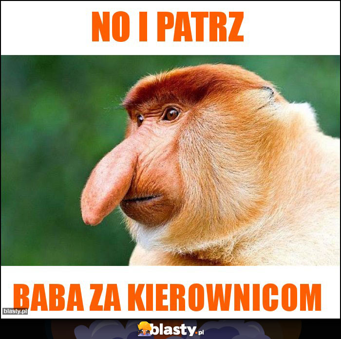 No i patrz No i patrz
