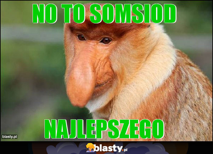 No to somsiod No to somsiod