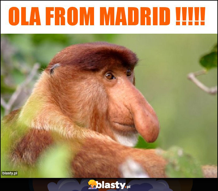 Ola from Madrid !!!!! Ola from Madrid !!!!!