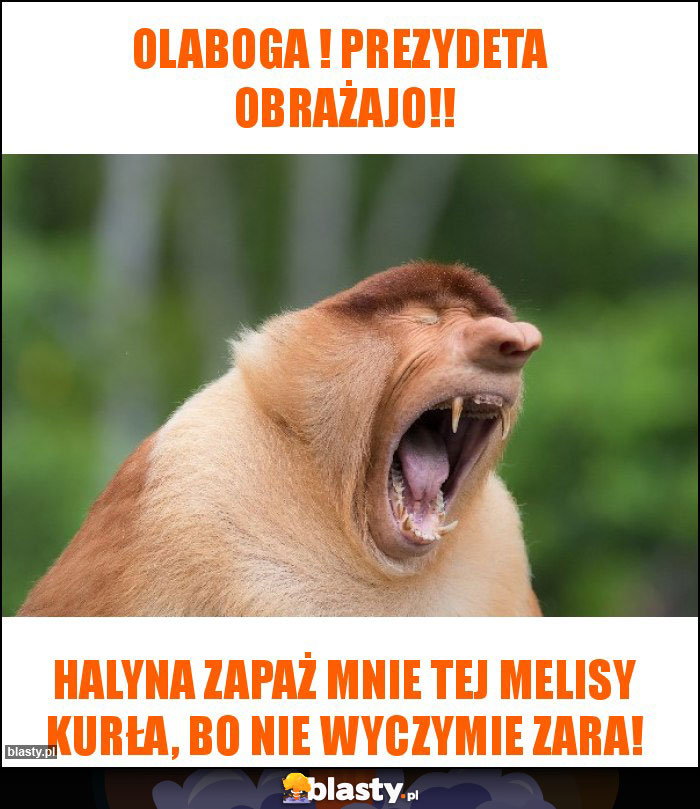 Olaboga ! Prezydeta obrażajo!! Olaboga ! Prezydeta obrażajo!!