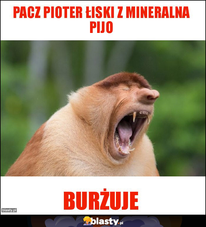 Pacz Pioter łiski z mineralna pijo Pacz Pioter łiski z mineralna pijo