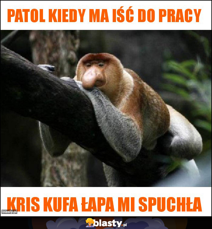 Patol kiedy ma iść do pracy Patol kiedy ma iść do pracy