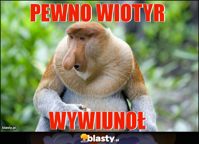 PEWNO WIOTYR PEWNO WIOTYR