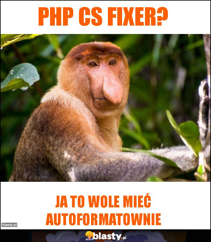 PHP CS FIXER? PHP CS FIXER?