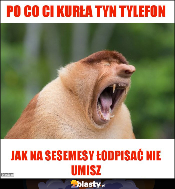 Po co Ci kurła tyn tylefon Po co Ci kurła tyn tylefon