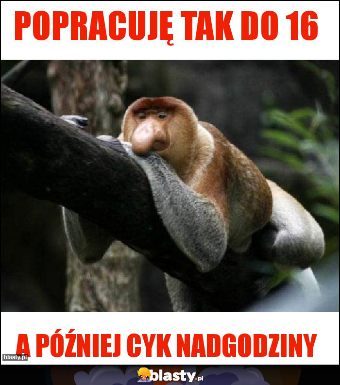 Popracuję tak do 16 Popracuję tak do 16