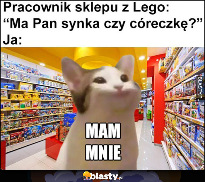 Pracownik slepu z Lego: ma Pan synka czy córeczkę? Ja: mam mnie kot kotek