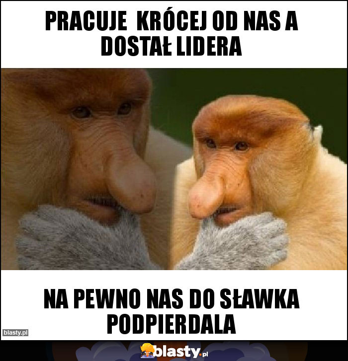 Pracuje krócej od nas a dostał lidera Pracuje krócej od nas a dostał lidera
