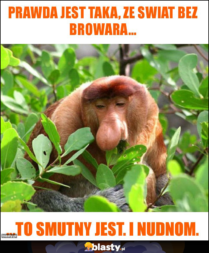 Prawda jest taka, ze Swiat bez browara... Prawda jest taka, ze Swiat bez browara...