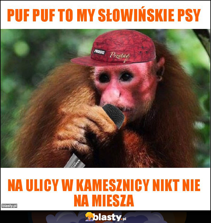 PUF Puf to my Słowińskie psy PUF Puf to my Słowińskie psy