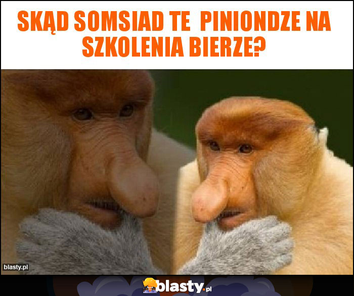 Skąd somsiad te Piniondze na szkolenia bierze? Skąd somsiad te Piniondze na szkolenia bierze?