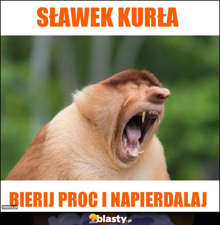 Sławek kurła Sławek kurła