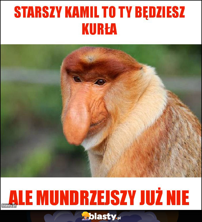 Starszy Kamil to Ty będziesz kurła Starszy Kamil to Ty będziesz kurła
