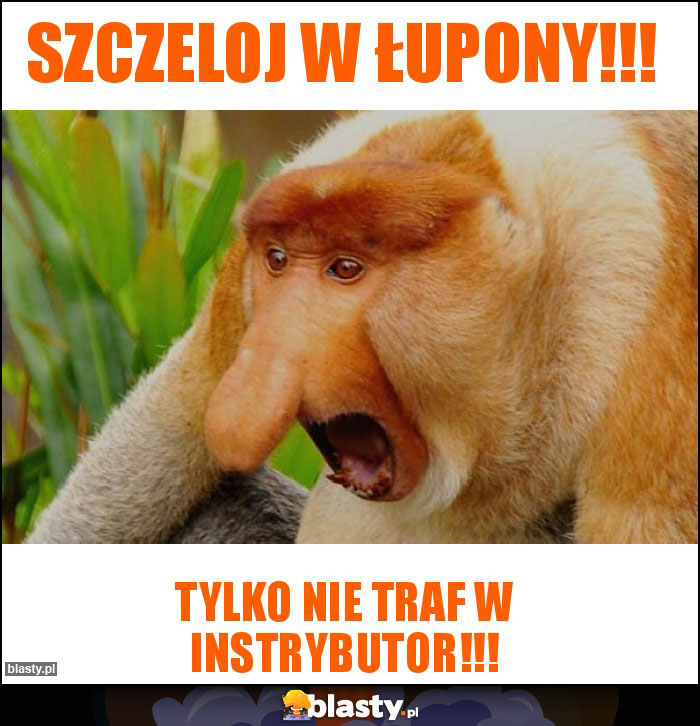 Szczeloj w łupony!!! Szczeloj w łupony!!!