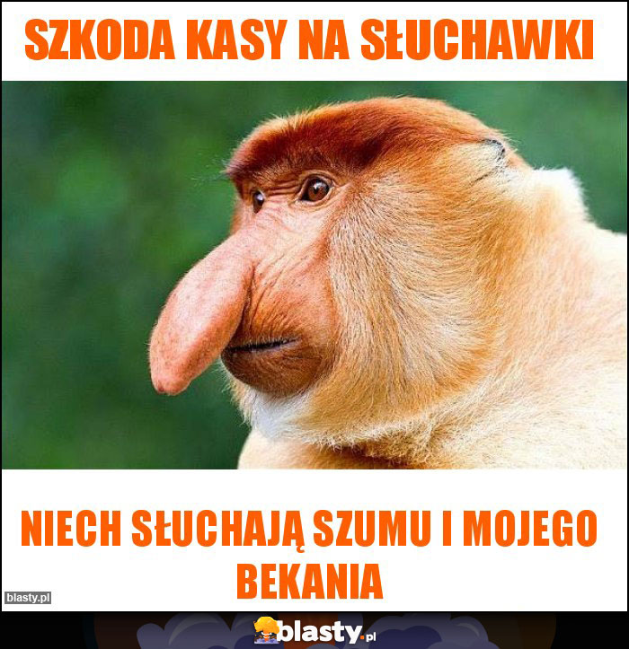 szkoda kasy na słuchawki szkoda kasy na słuchawki