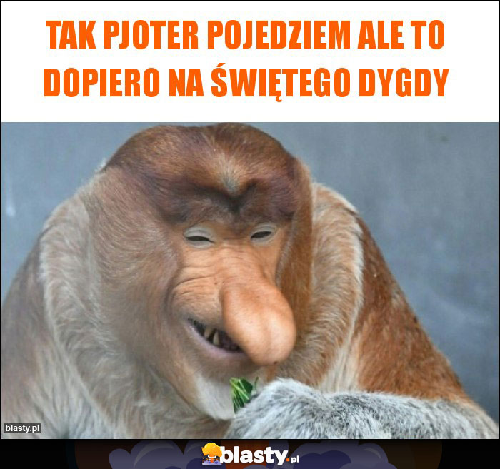 TAK PJOTER POJEDZIEM ALE TO DOPIERO NA ŚWIĘTEGO DYGDY TAK PJOTER POJEDZIEM ALE TO DOPIERO NA ŚWIĘTEGO DYGDY