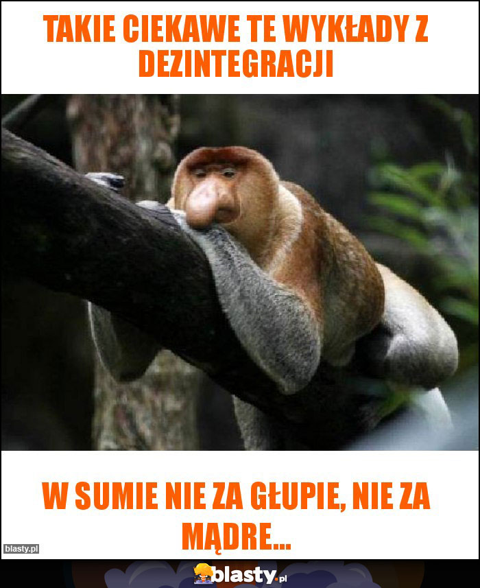 Takie ciekawe te wykłady z dezintegracji Takie ciekawe te wykłady z dezintegracji