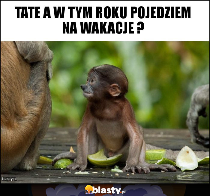 Tate a w tym roku pojedziem na wakacje ? Tate a w tym roku pojedziem na wakacje ?