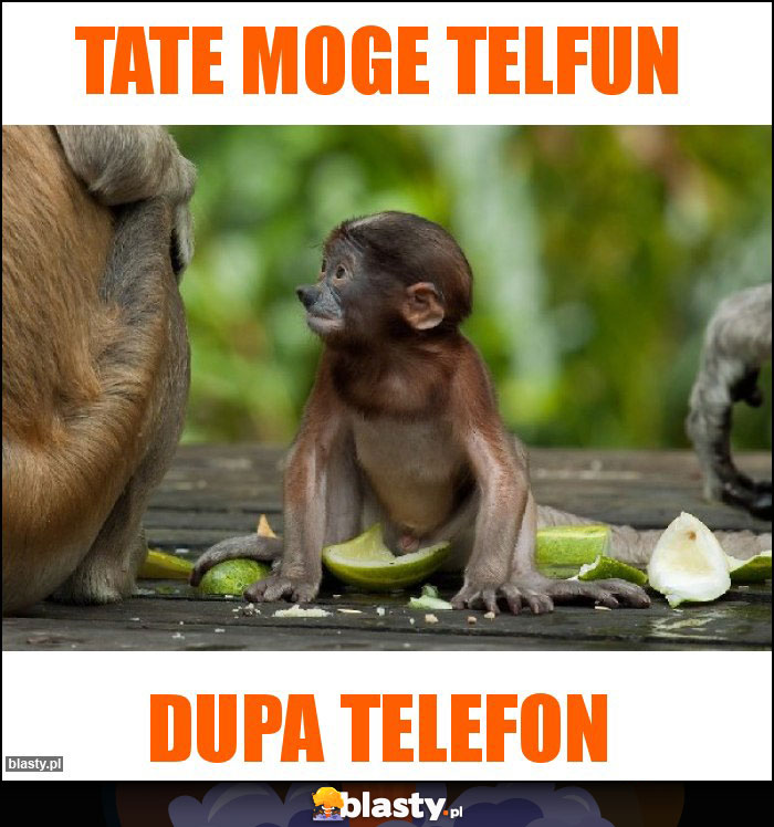 Tate moge telfun Tate moge telfun